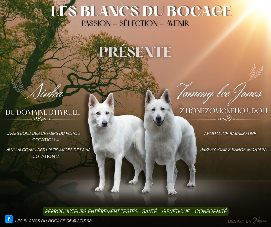 La Piraterie Blanco - Berger Blanc Suisse - Portée née le 19/07/2025